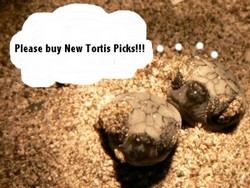 Buy Tortis Picks!