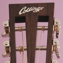 2006 Collings DS-2HA EIR/Adi Guitar